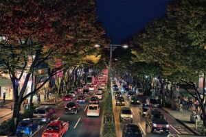 Tokyo Highlights (8 hours) - Image 3