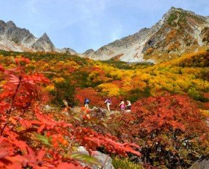 Climbers make their way through forests tinged with autumnal colors in Karasawa Cirque in the Northern Japan Alps.