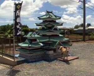 Japanese dog house